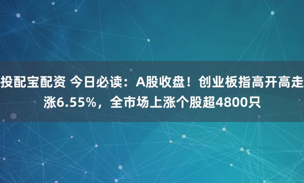 投配宝配资 今日必读：A股收盘！创业板指高开高走涨6.55%，全市场上涨个股超4800只