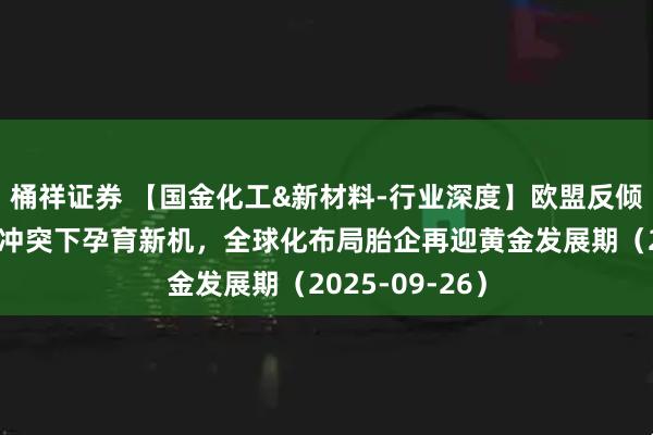 桶祥证券 【国金化工&新材料-行业深度】欧盟反倾销专题：贸易冲突下孕育新机，全球化布局胎企再迎黄金发展期（2025-09-26）