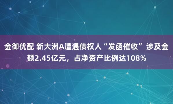 金御优配 新大洲A遭遇债权人“发函催收” 涉及金额2.45亿元，占净资产比例达108%
