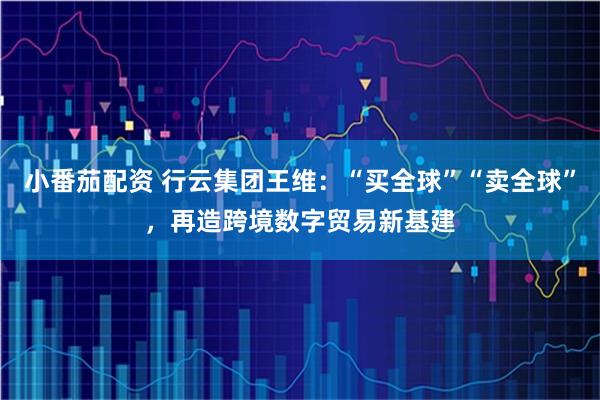 小番茄配资 行云集团王维：“买全球”“卖全球”，再造跨境数字贸易新基建